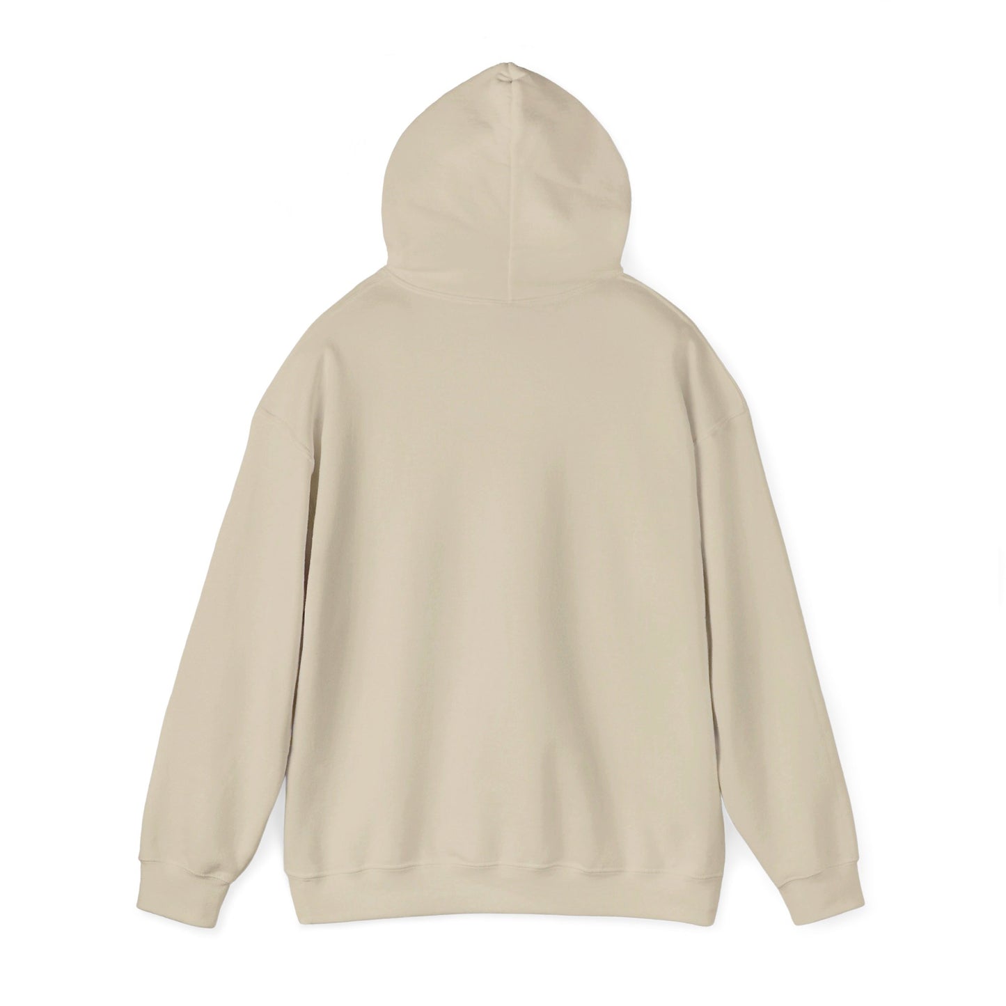 DISFRUTAR LAS SIESTAS DE SHABAT | UNISEX HOODIE