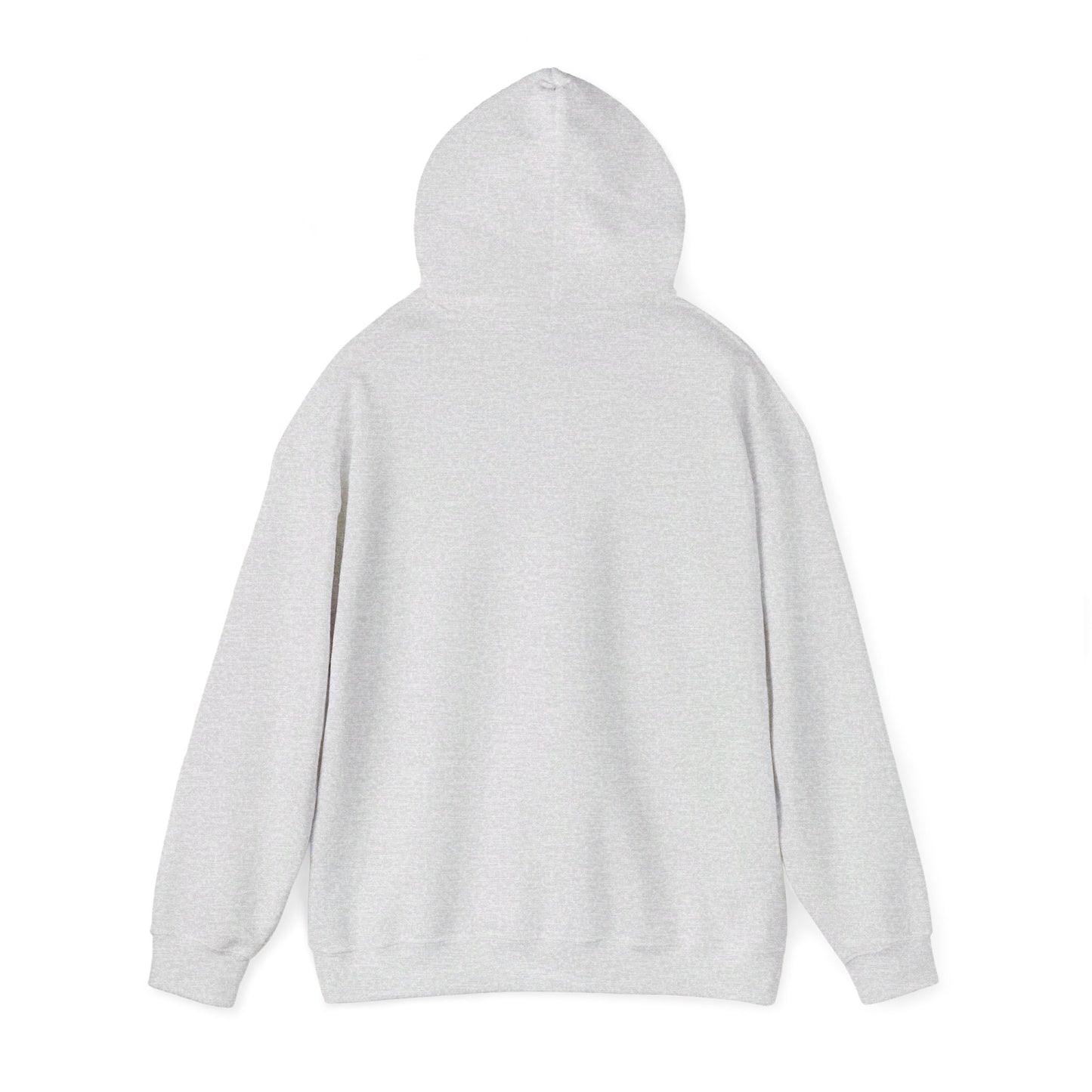 DISFRUTAR LAS SIESTAS DE SHABAT | UNISEX HOODIE