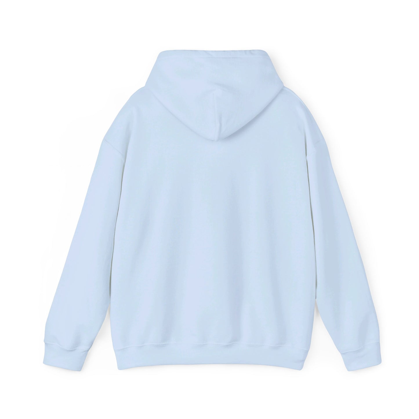 DISFRUTAR LAS SIESTAS DE SHABAT | UNISEX HOODIE