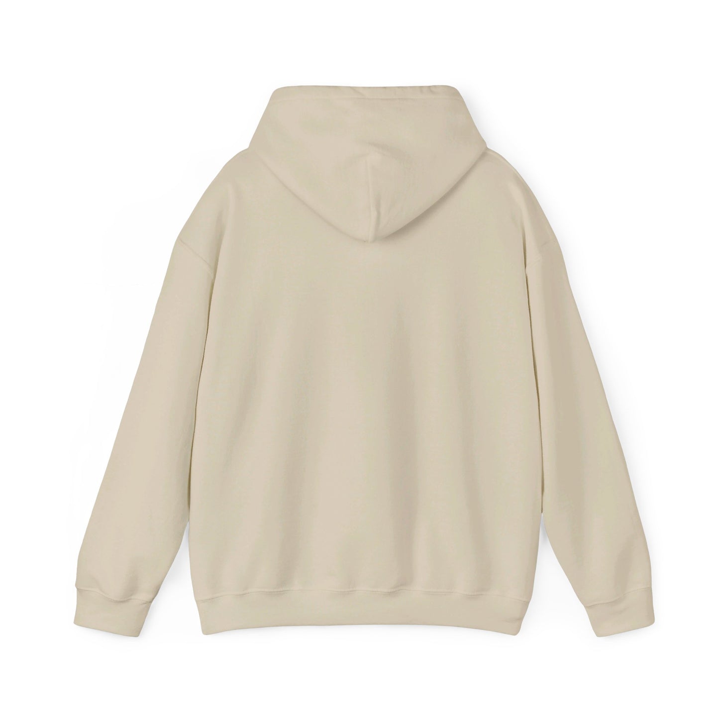 DISFRUTAR LAS SIESTAS DE SHABAT | UNISEX HOODIE
