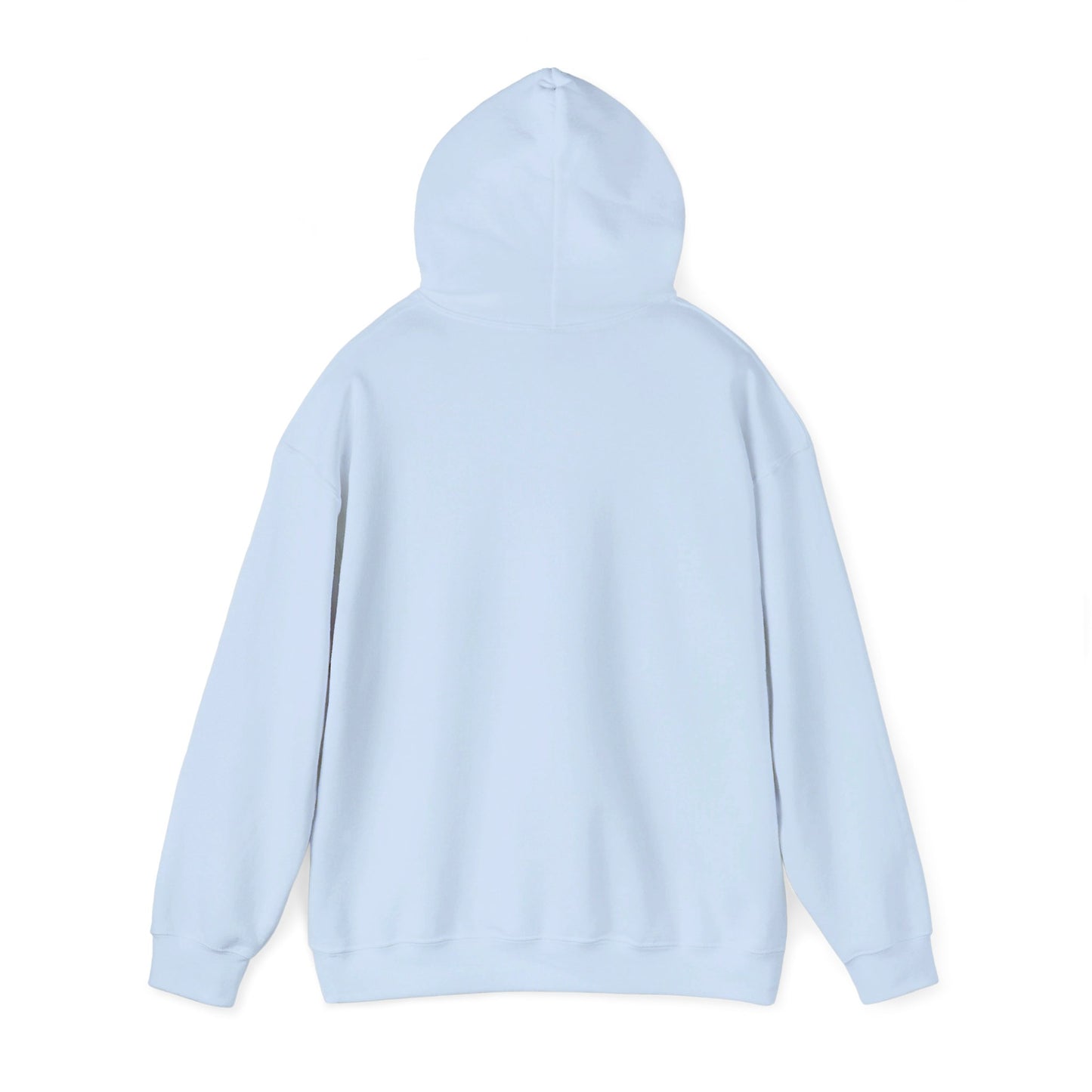 DISFRUTAR LAS SIESTAS DE SHABAT | UNISEX HOODIE