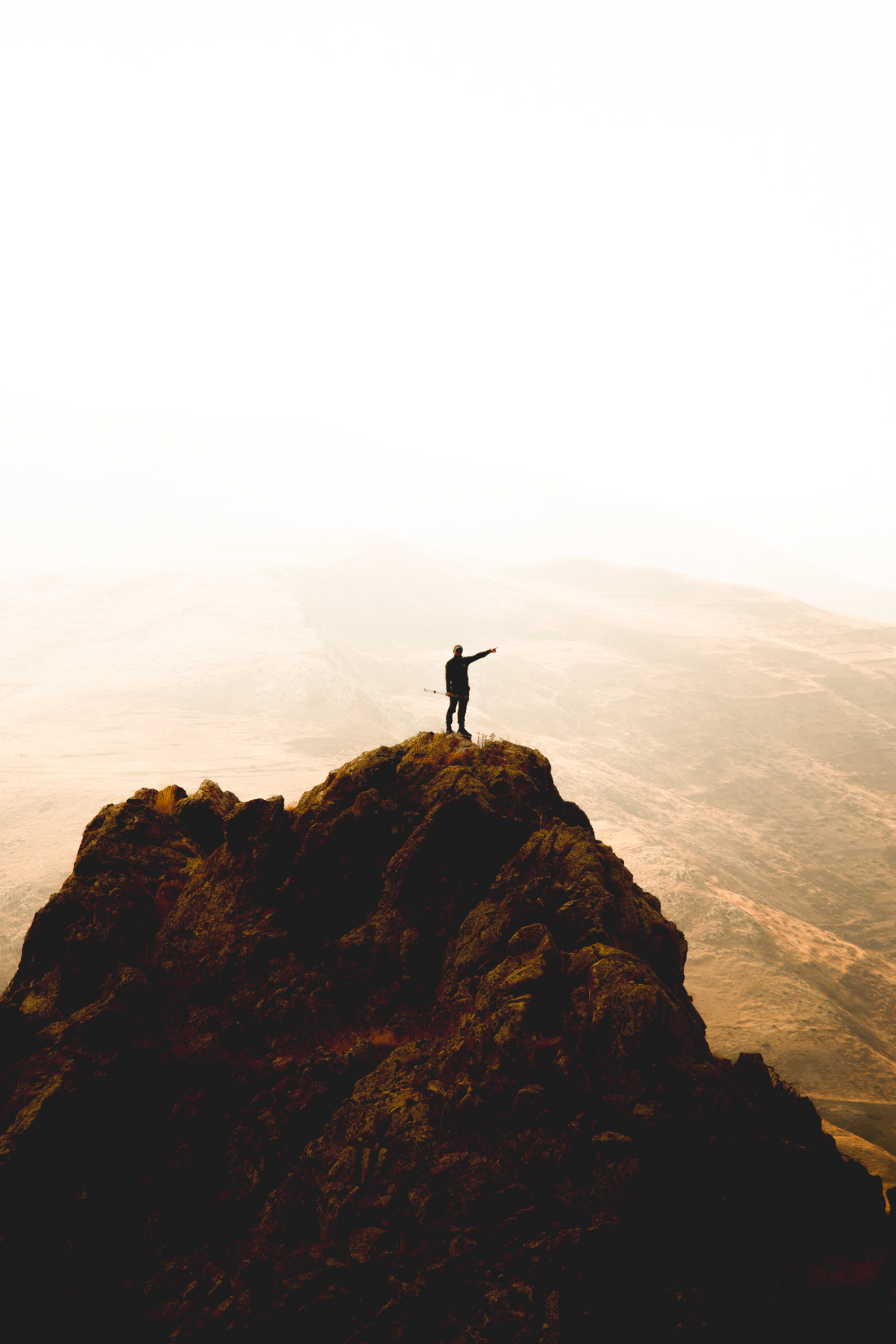 Purpose: The Quest of a Lifetime